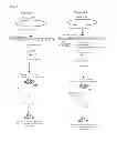 Fig. 04 - Methods and compositions for pseudoinfectious alphaviruses
