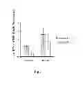 Fig. 04 - Genetically stable recombinant modified vaccinia ankara (rMVA) vaccines and methods of preparation thereof