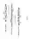 Fig. 07 - Genetically stable recombinant modified vaccinia ankara (rMVA) vaccines and methods of preparation thereof