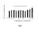 Fig. 09 - Genetically stable recombinant modified vaccinia ankara (rMVA) vaccines and methods of preparation thereof