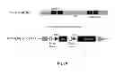 Fig. 30 - Genetically stable recombinant modified vaccinia ankara (rMVA) vaccines and methods of preparation thereof