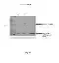 Fig. 34 - Genetically stable recombinant modified vaccinia ankara (rMVA) vaccines and methods of preparation thereof