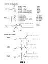 Fig. 03 - ADJUVANT COMPOSITIONS AND METHODS FOR ENHANCING IMMUNE RESPONSES TO POLYNUCLEOTIDE-BASED VACCINES