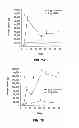 Fig. 07 - ADJUVANT COMPOSITIONS AND METHODS FOR ENHANCING IMMUNE RESPONSES TO POLYNUCLEOTIDE-BASED VACCINES