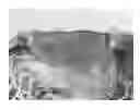 Fig. 01 - Composite material for tissue repair