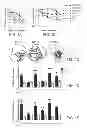 Fig. 02 - Agents that reduce neuronal overexcitation