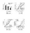 Fig. 05 - Agents that reduce neuronal overexcitation