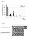 Fig. 02 - Lactic acid bacteria and compositions containing them against bacterial colds