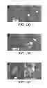 Fig. 08 - NEURAL STEM CELLS DERIVED FROM INDUCED PLURIPOTENT STEM CELLS