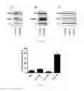 Fig. 05 - Methods and compositions for treating cancer
