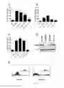 Fig. 06 - Methods and compositions for treating cancer