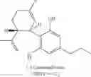 Fig. 42 - Methods and compositions for treating cancer