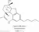 Fig. 77 - Methods and compositions for treating cancer