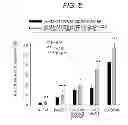 Fig. 09 - Sprouted cereal, method for manufacturing same, food product containing same, and BDNF production accelerator