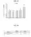 Fig. 13 - Sprouted cereal, method for manufacturing same, food product containing same, and BDNF production accelerator