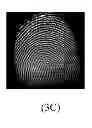 Fig. 01 - COMPOSITIONS AND METHODS OF USE FOR DETECTION AND IMAGING OF PRINTS BY SURFACE-ENHANCED SPECTROSCOPIC TECHNIQUES