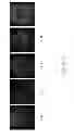 Fig. 09 - COMPOSITIONS AND METHODS OF USE FOR DETECTION AND IMAGING OF PRINTS BY SURFACE-ENHANCED SPECTROSCOPIC TECHNIQUES