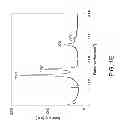 Fig. 04 - ELECTRODE USEABLE IN ELECTROCHEMICAL CELL AND METHOD OF MAKING SAME