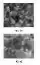 Fig. 11 - ELECTRODE USEABLE IN ELECTROCHEMICAL CELL AND METHOD OF MAKING SAME