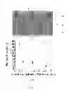 Fig. 10 - DRY ADHESIVES AND METHODS FOR MAKING DRY ADHESIVES