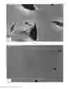 Fig. 02 - POLYAMIDE-POLY(PHENYLENE ETHER) FIBER, ARTICLE, COMPOSITION, AND METHOD