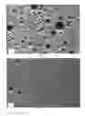 Fig. 03 - POLYAMIDE-POLY(PHENYLENE ETHER) FIBER, ARTICLE, COMPOSITION, AND METHOD