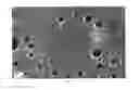 Fig. 05 - POLYAMIDE-POLY(PHENYLENE ETHER) FIBER, ARTICLE, COMPOSITION, AND METHOD
