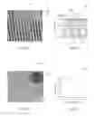 Fig. 04 - GRAPHENE RIBBONS AND METHODS FOR THEIR PREPARATION AND USE