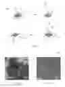 Fig. 05 - GRAPHENE RIBBONS AND METHODS FOR THEIR PREPARATION AND USE