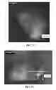 Fig. 07 - GLASS ARTICLES WITH HIGH FLEXURAL STRENGTH AND METHOD OF MAKING