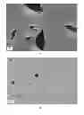 Fig. 02 - POLYAMIDE-POLY(PHENYLENE ETHER) FIBER, ARTICLE, COMPOSITION, AND METHOD