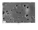 Fig. 06 - POLYAMIDE-POLY(PHENYLENE ETHER) FIBER, ARTICLE, COMPOSITION, AND METHOD
