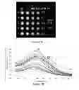 Fig. 02 - Graft-copolymer stabilized metal nanoparticles