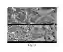 Fig. 04 - METHOD FOR FORMING BATTERY ACTIVE SUPER-IRON NANOPARTICLES AND STORAGE BATTERY