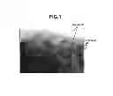 Fig. 02 - NEGATIVE ELECTRODE MATERIAL FOR LITHIUM ION BATTERIES