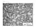 Fig. 03 - NEGATIVE-ELECTRODE MATERIAL, NEGATIVE ELECTRODE ACTIVE MATERIAL, NEGATIVE ELECTRODE, AND ALKALI METAL ION BATTERY