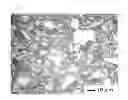 Fig. 04 - NEGATIVE-ELECTRODE MATERIAL, NEGATIVE ELECTRODE ACTIVE MATERIAL, NEGATIVE ELECTRODE, AND ALKALI METAL ION BATTERY