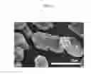 Fig. 03 - Method of preparing negative active material for rechargeable lithium battery, and negative active material and rechargeable lithium battery prepared from the same