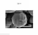 Fig. 04 - Method of preparing negative active material for rechargeable lithium battery, and negative active material and rechargeable lithium battery prepared from the same