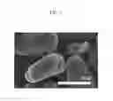 Fig. 06 - Method of preparing negative active material for rechargeable lithium battery, and negative active material and rechargeable lithium battery prepared from the same