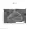 Fig. 08 - Method of preparing negative active material for rechargeable lithium battery, and negative active material and rechargeable lithium battery prepared from the same