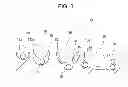 Fig. 04 - FUEL CELL, METHOD FOR PRODUCING FUEL CELL, ELECTRONIC APPARATUS, NICOTINAMIDE ADENINE DINUCLEOTIDE-IMMOBILIZED ELECTRODE, NICOTINAMIDE ADENINE DINUCLEOTIDE-IMMOBILIZED CARRIER, ENZYME REACTION UTILIZATION DEVICE, PROTEIN-IMMOBILIZED ELECTRODE AND PROTEIN-IMMOBILIZED CARRIER