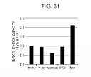 Fig. 32 - FUEL CELL, METHOD FOR PRODUCING FUEL CELL, ELECTRONIC APPARATUS, NICOTINAMIDE ADENINE DINUCLEOTIDE-IMMOBILIZED ELECTRODE, NICOTINAMIDE ADENINE DINUCLEOTIDE-IMMOBILIZED CARRIER, ENZYME REACTION UTILIZATION DEVICE, PROTEIN-IMMOBILIZED ELECTRODE AND PROTEIN-IMMOBILIZED CARRIER