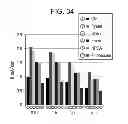 Fig. 35 - FUEL CELL, METHOD FOR PRODUCING FUEL CELL, ELECTRONIC APPARATUS, NICOTINAMIDE ADENINE DINUCLEOTIDE-IMMOBILIZED ELECTRODE, NICOTINAMIDE ADENINE DINUCLEOTIDE-IMMOBILIZED CARRIER, ENZYME REACTION UTILIZATION DEVICE, PROTEIN-IMMOBILIZED ELECTRODE AND PROTEIN-IMMOBILIZED CARRIER
