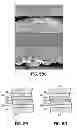 Fig. 55 - Fuel cell device and system