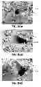 Fig. 84 - Fuel cell device and system