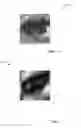 Fig. 09 - Generating and displaying holograms