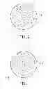 Fig. 06 - Chuck and semiconductor process using the same