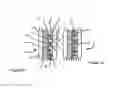 Fig. 04 - Apparatuses for and methods of processing cells and related structures