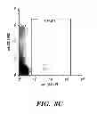 Fig. 06 - Method for the enumeration of mammalian micronucleated erythrocyte populations, while distinguishing platelets and/or platelet-associated aggregates